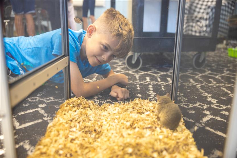 Students study reptiles